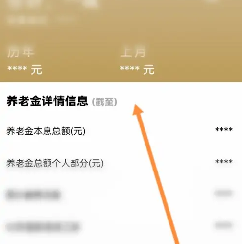 随申办app怎么查个人信息，查看个人的养老金信息方法介绍