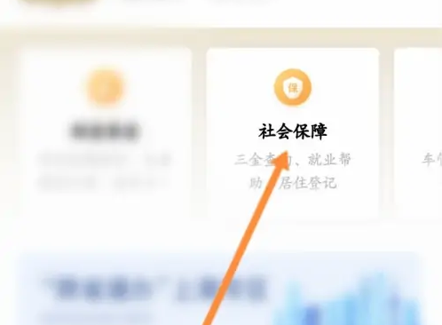 随申办app怎么查个人信息，查看个人的养老金信息方法介绍