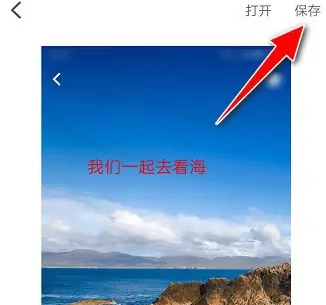 美易app怎么加竖排文字，美易app加文字方法介绍