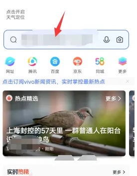 vivo浏览器如何查看浏览记录，vivo浏览器查看浏览记录教程