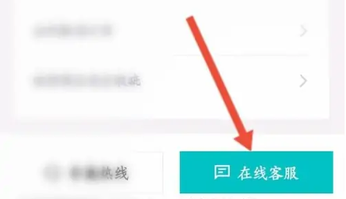 毒app怎么看自己的id，得物看id方法介绍