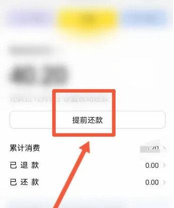 美团优选极速版怎么还款，美团优选进行还款方法介绍