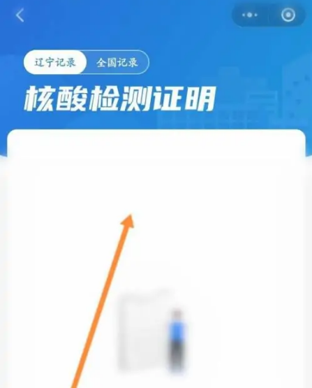 辽事通怎么查历史核酸记录，具体操作方法介绍