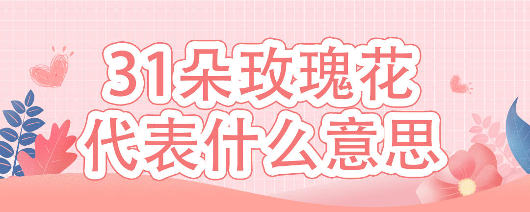 31朵玫瑰花代表什么意思