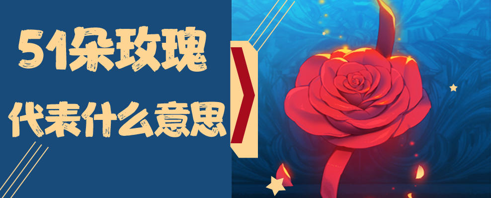 51朵玫瑰代表什么意思