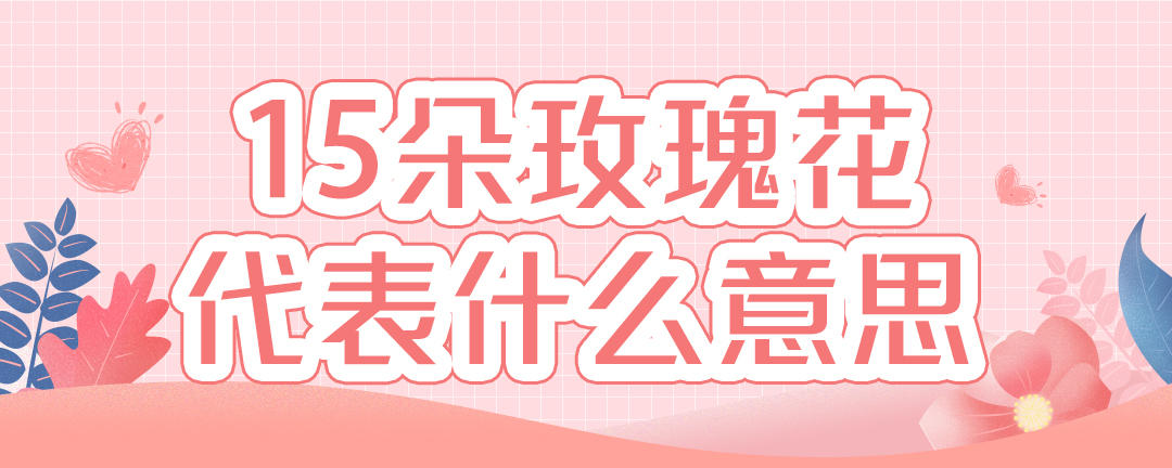 15朵玫瑰花代表什么意思