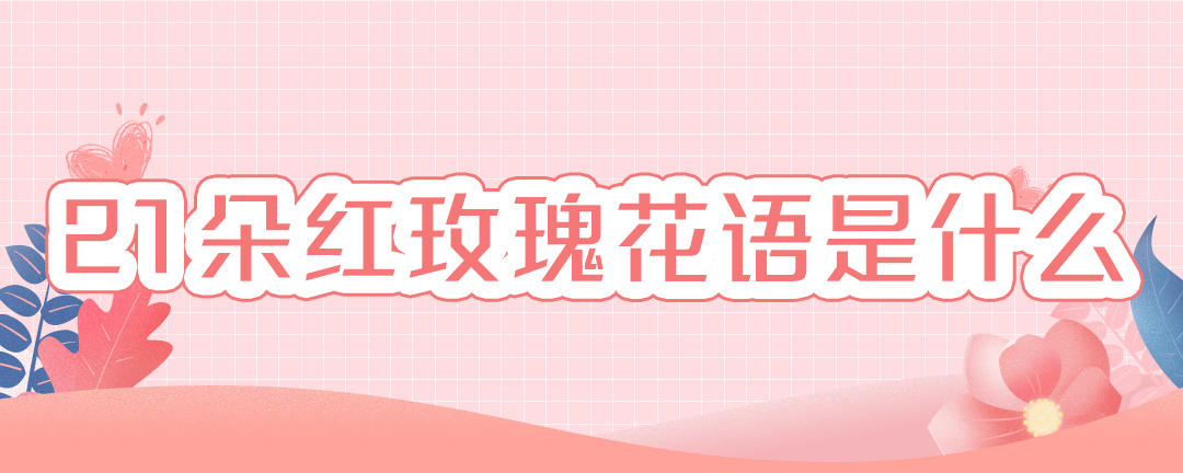 21朵红玫瑰花语是什么