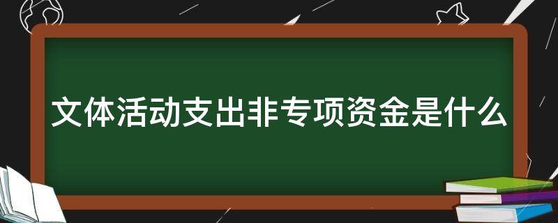 文体活动支出非专项资金是什么