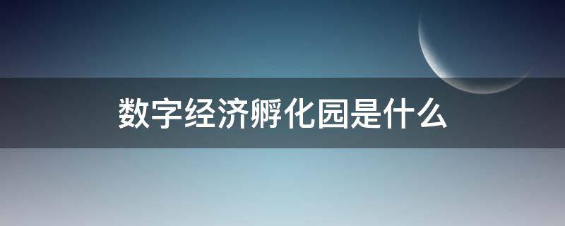 数字经济孵化园是什么