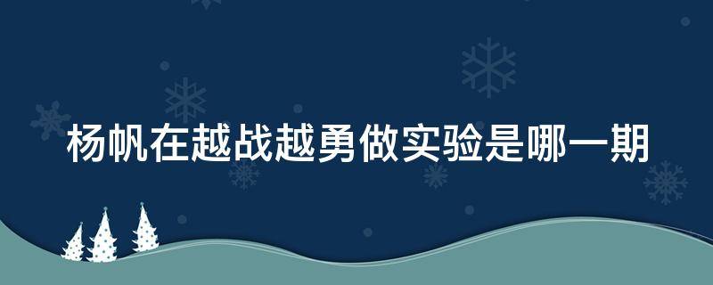 杨帆在越战越勇做实验是哪一期