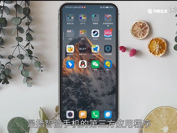 手机app是什么意思 手机app的解释