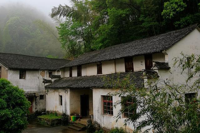 浙江这个古村落居于山岙，却成为网红村，1200多棵银杏树美如仙境