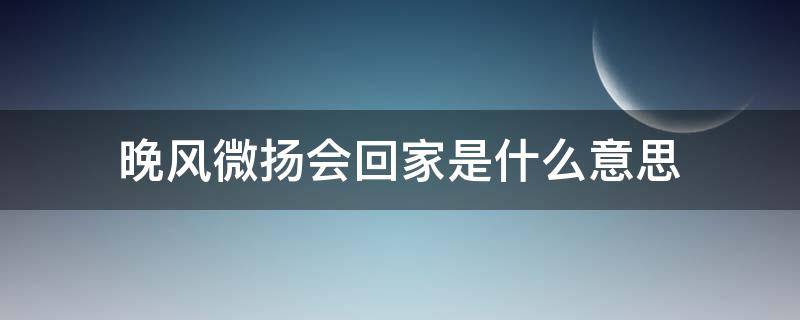 晚风微扬会回家是什么意思