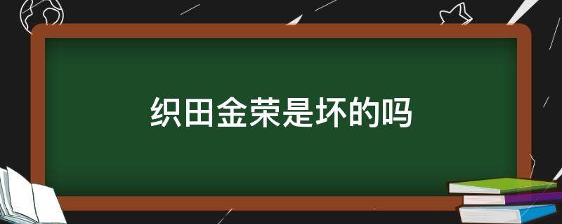 织田金荣是坏的吗