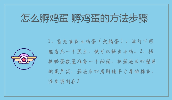 怎么孵鸡蛋 孵鸡蛋的方法步骤