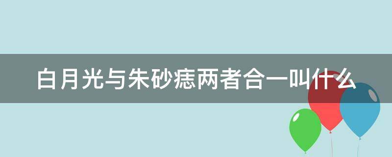 白月光与朱砂痣两者合一叫什么