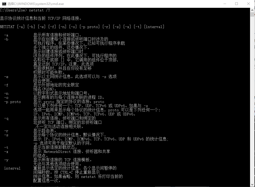 美国服务器Windows系统中Netstat命令怎么用