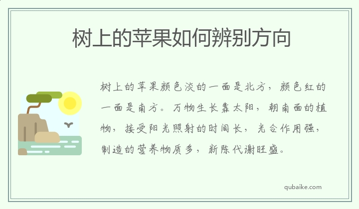 树上的苹果如何辨别方向