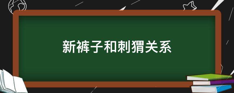 新裤子和刺猬关系