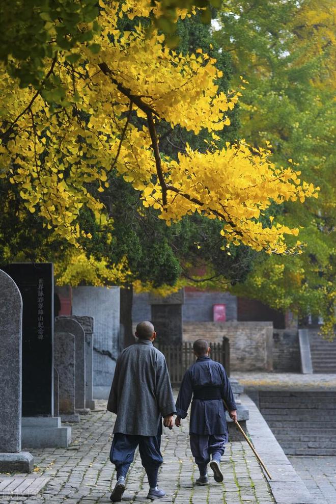 世间最美的火车旅行，从北京到拉萨，一眼看遍大美中国