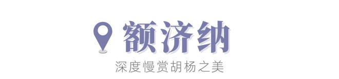 额济纳vs南疆，国内金秋颜值巅峰！哪个更值得一去？