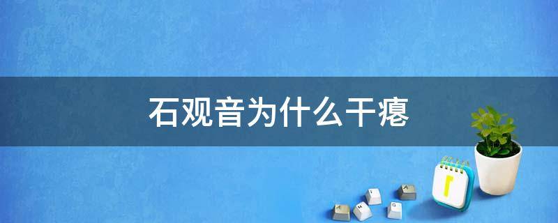 石观音为什么干瘪