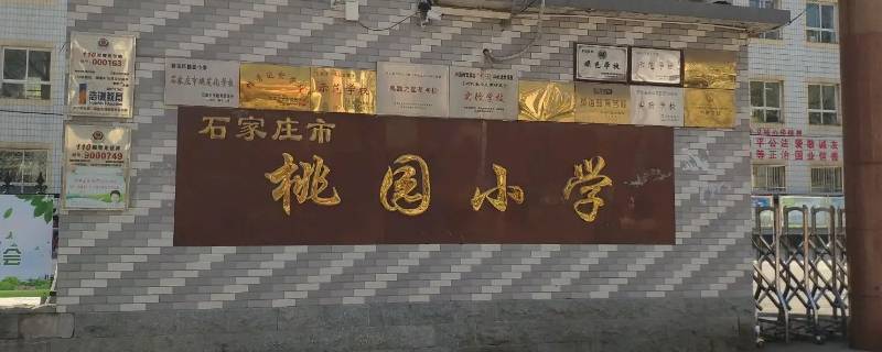 石家庄桃园小学对口什么初中