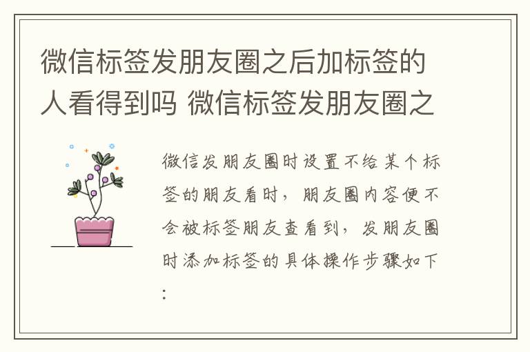 微信标签发朋友圈之后加标签的人看得到吗 微信标签发朋友圈之后加标签的人能看到吗