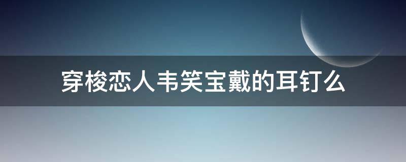 穿梭恋人韦笑宝戴的耳钉么