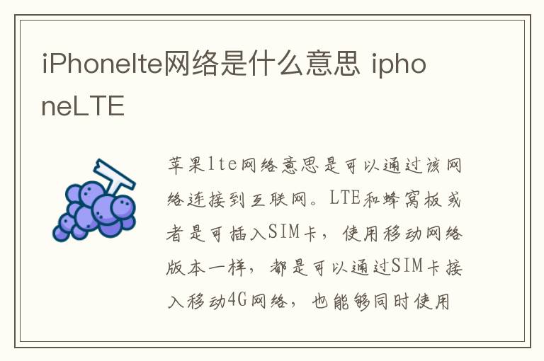 iPhonelte网络是什么意思