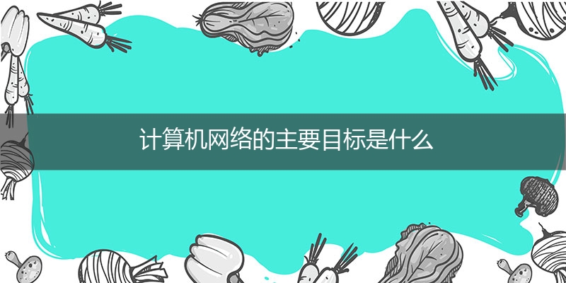 计算机网络的主要目标是什么