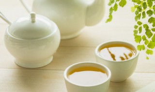 红参精茶什么季节喝好