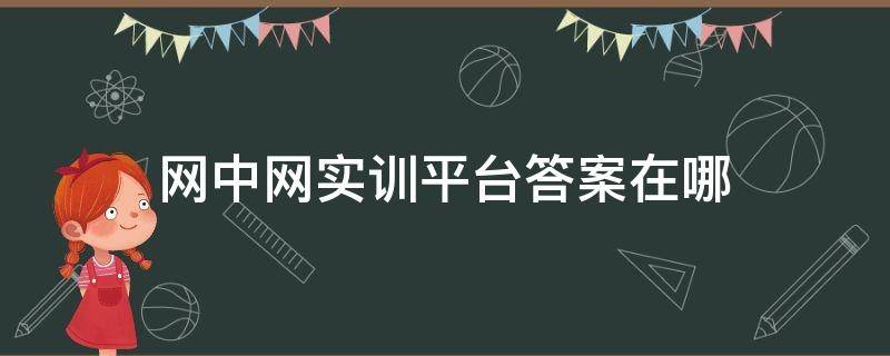 网中网实训平台答案在哪