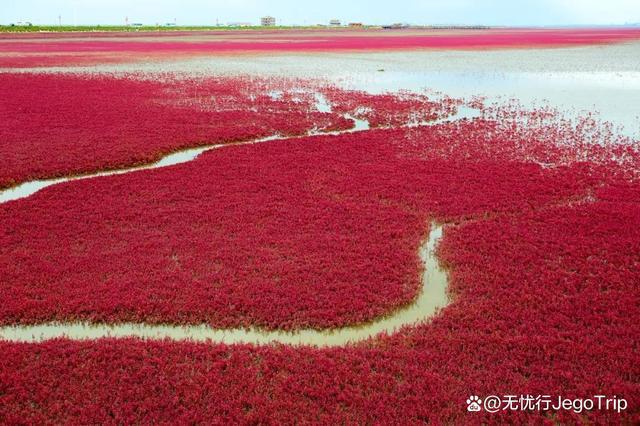 9月去哪旅游？这几个地方的秋景美爆了