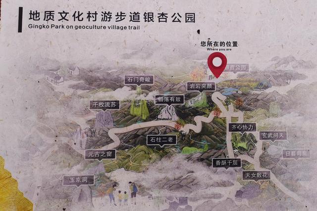 浙江这个古村落居于山岙，却成为网红村，1200多棵银杏树美如仙境