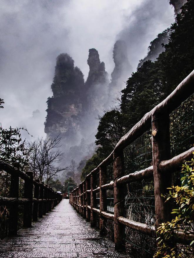 好莱坞慕名取景