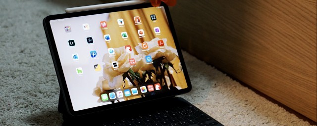 ipad怎么清理缓存 ipad清除缓存方法有哪些