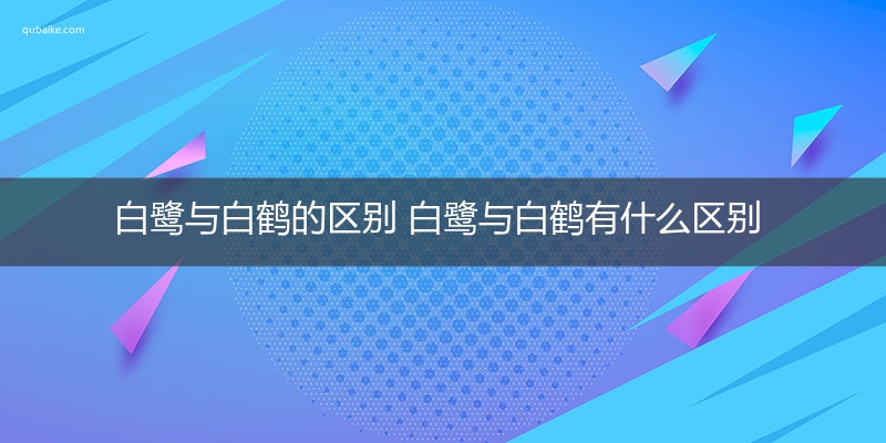 白鹭与白鹤的区别 白鹭与白鹤有什么区别