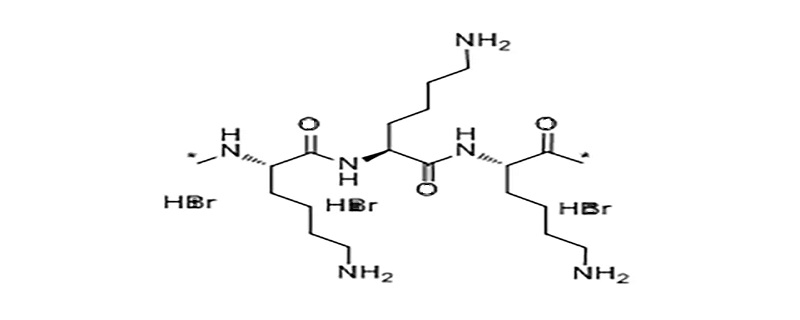 lys是什么氨基酸