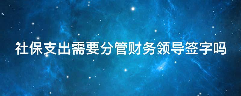 社保支出需要分管财务领导签字吗