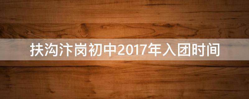 扶沟汴岗初中2017年入团时间