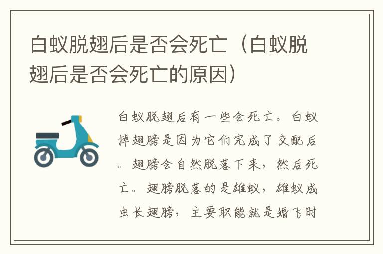 白蚁脱翅后是否会死亡 白蚁脱翅后是否会死亡的原因