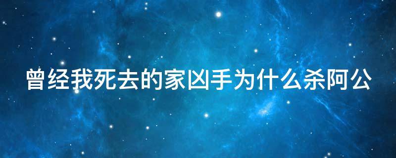 曾经我死去的家凶手为什么杀阿公