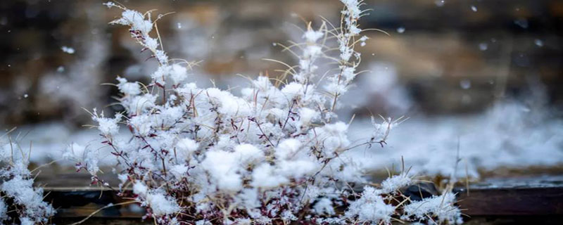 下雪了高速上为什么没有雪