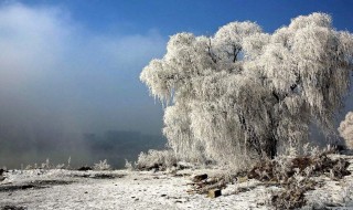 大雪节气吃什么传统食物