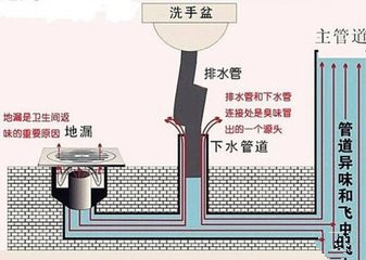 厕所下水道反味怎么办 返臭治理有妙招