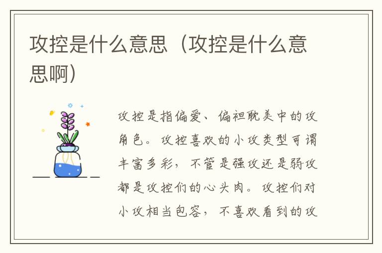 攻控是什么意思（攻控是什么意思啊）