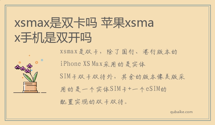 xsmax是双卡吗,苹果xsmax手机是双开吗