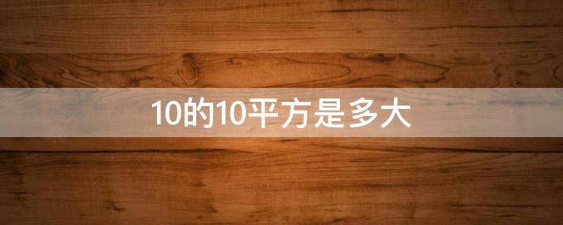 10的10平方是多大