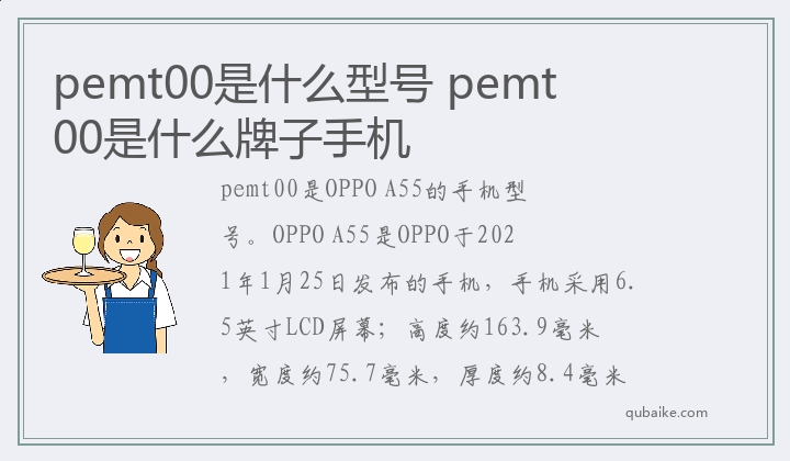 pemt00是什么型号,pemt00是什么牌子手机